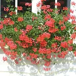 Bed & Breakfast Le Renard D'hotes Vezieres