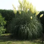 Le Renard D'hotes 3* Vezieres
