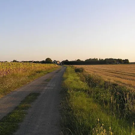 Bed & Breakfast Le Renard D'hotes 3*