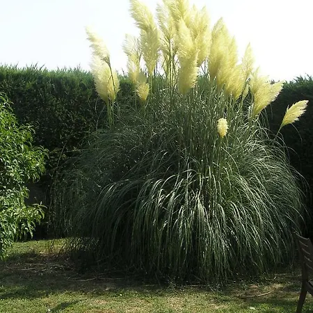 Le Renard D'hotes 3* Vezieres