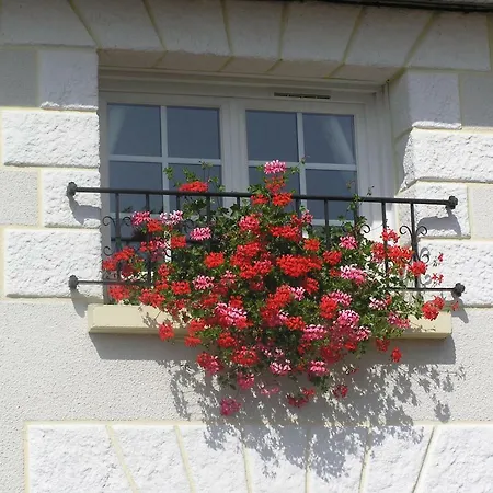 Le Renard D'hotes Bed & Breakfast